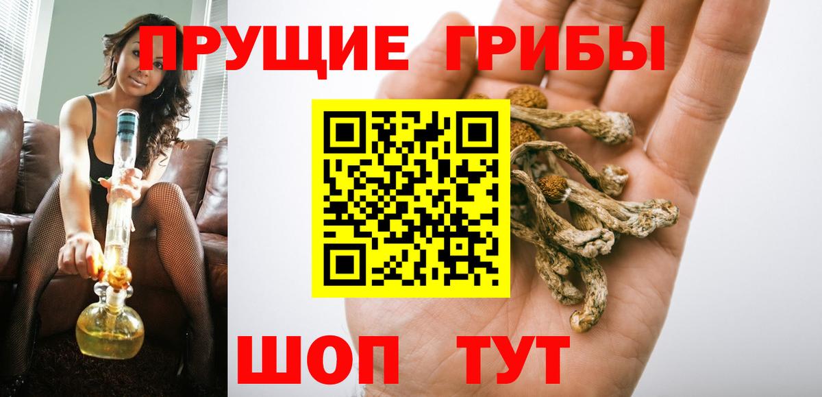 Псилоцибиновые грибы MAGIC MUSHROOMS  Галлюциногенные грибы Psilocybine cubensis  Орехово-Зуево  Вход с VPN 